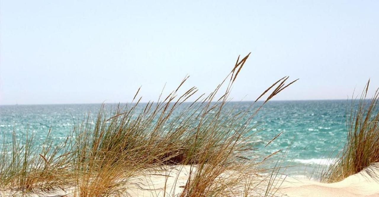 Mhvacances Louent Plusieurs Mobilhomes Dans Camping 4 Etoiles A 200M De La Plage Et Cure Thermale 卡内 外观 照片